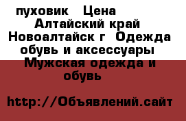 пуховик › Цена ­ 2 500 - Алтайский край, Новоалтайск г. Одежда, обувь и аксессуары » Мужская одежда и обувь   
